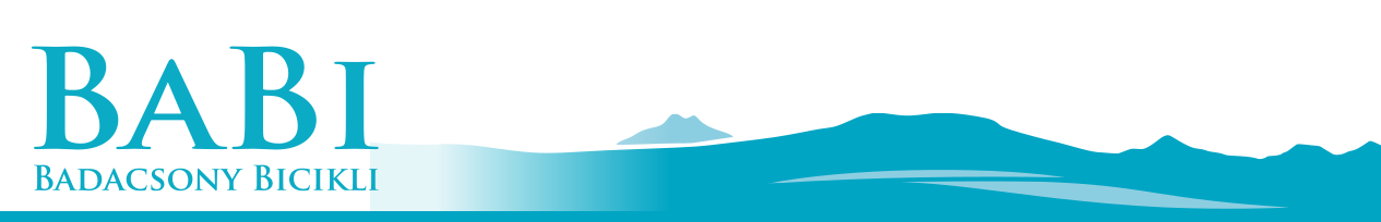 logo_alt_tag